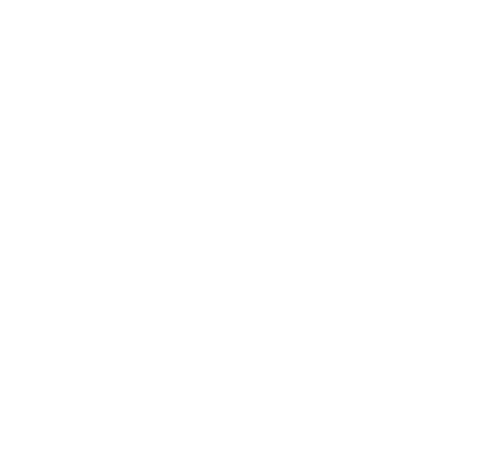 Reimer Services
